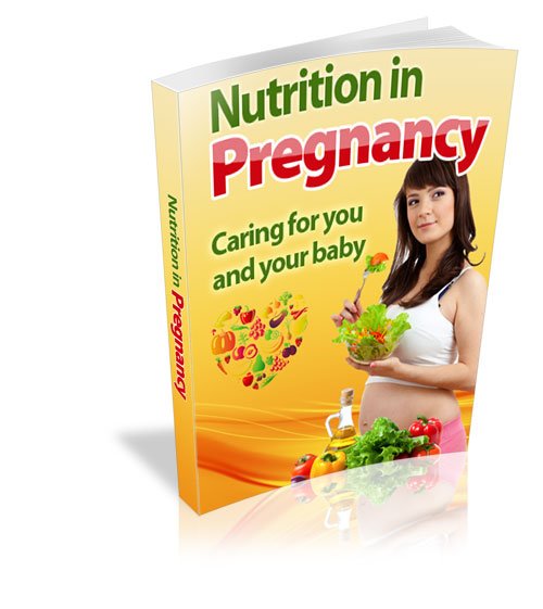 Nutrition-in-Pregnancy-500